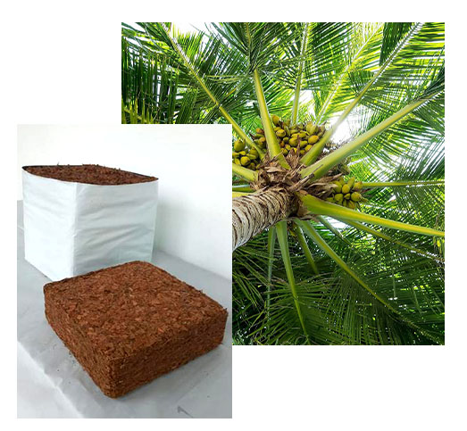 Grow bag and Grow Slab